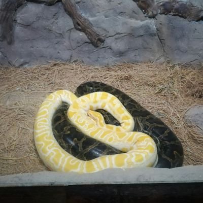 Mathman25311319's profile picture. 