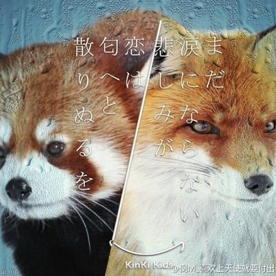 aabb2049's profile picture. 東京住み🇨🇳|20↑|❤️💙sが大事|スピッツ初心者|FC入会済|中華BL|priest全肯定|CHN ENG JPN KOR可|リプよりいいね派|無言フォロー失礼します