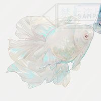 Lqu_chuuuu (@quchuuuu) Twitter profile photo