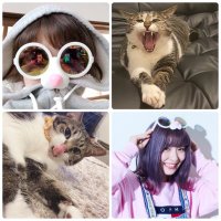 ちぃ (@skyteam_chii) 's Twitter Profile