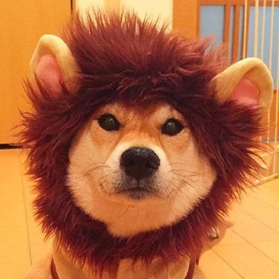odncuex's profile picture. 