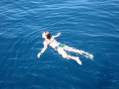 desifrasco's profile picture. 