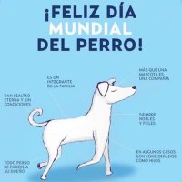 PerrosEncontrados(@PpEncontradosMx) 's Twitter Profileg