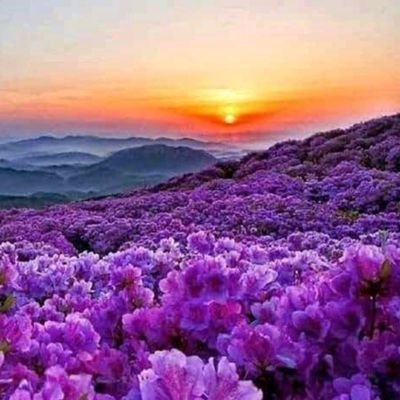 fTAjFsM3USknFlC's profile picture. ‏لا اله الا انت سبحانك انى كنت من الظالمين ‏‏‏‏‏بإذن الله سيعوضنا الله عن كل الم تحملناه بداخلنا دون التكلم فيه...  اسكندريه بلدى الغاليه