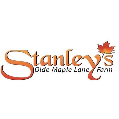 All things Family Fun related to Stanleys Olde Maple Lane Farm!  Christmas Village, Maple Syrup season, Easter Egg hunts, animals and more!! 🍂