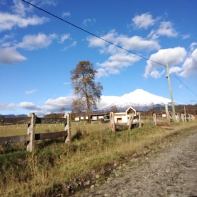 jalvo31's profile picture. Me gusta el Tenis, el blues y la fotografía.