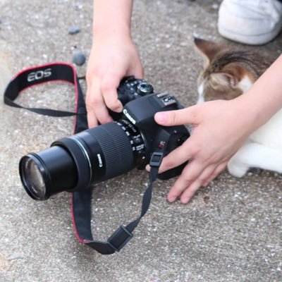 kiis_photo's profile picture. 九州情報大学の写真部です。 基本撮ってきた写真はInstagramに投稿しています。 写真部の活動が気になる方はInstagramでkiis_photoを検索フォローよろしくお願いします。