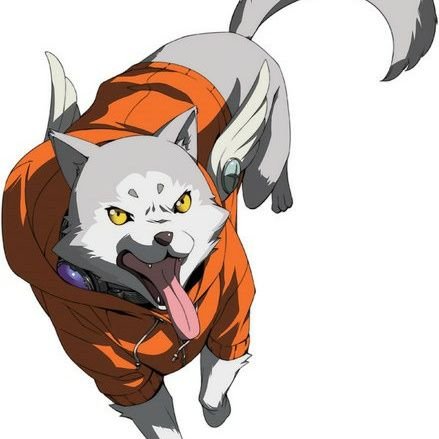 Koromaru.さんのプロフィール画像