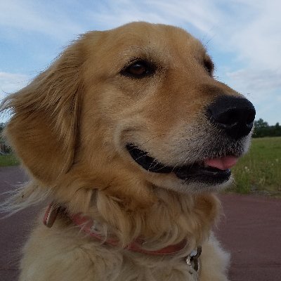 みちこ Michiko Twitter みちこ Michiko Twitter