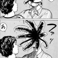 🌌た͜͜͏̘̣͔͙͎͎̘̜̫̗͍͚͓͜͜͏̘̣͔͙͎͎す͜͜͏̘̣͔͙͎ơ̟̤̖̗͖͇̍͋̀͆̓ด (@otimq) 's Twitter Profile