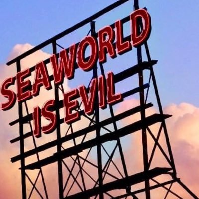 SEAWORLD SHUT DOWN is on FB and also on Instagram - “SeaWorldDolphinAbuse” #Blackfish #SeaWorld #EmptyTheTanks #OpSeaworld #CaptivityKills #Vegan