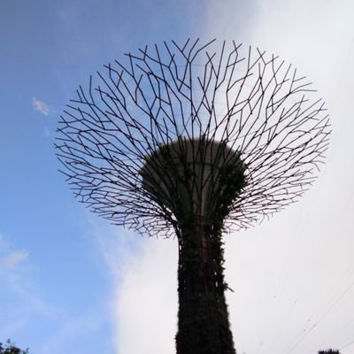 npfotte's profile picture.