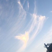 マスリン♪ (@syauxoskda9ohcv) 's Twitter Profile