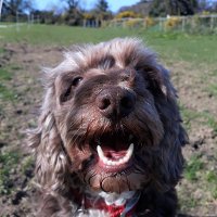 Warrilow Writes (@andreawarrilow) 's Twitter Profile