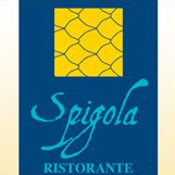 Innovative Italian food and wines from all around the world. Spigola Ristorante… better than ever.