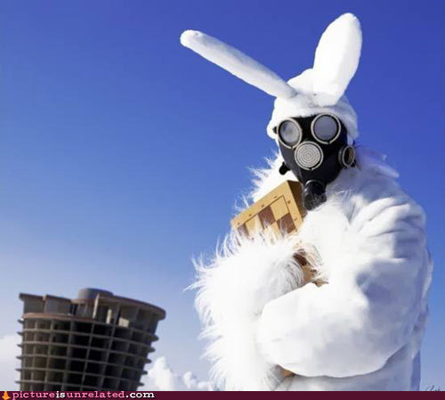 edgecases's profile picture. 