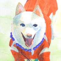 妃澄ヨシカズ (@hizumiyosikazu) 's Twitter Profile Photo 妃澄ヨシカズ (@hizumiyosikazu) 's Twitter Profile Photo