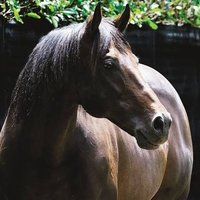 NZ Race Results (@nzraceresults) 's Twitter Profile Photo NZ Race Results (@nzraceresults) 's Twitter Profile Photo