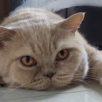 Ada W (@adaw141) 's Twitter Profile Photo Ada W (@adaw141) 's Twitter Profile Photo