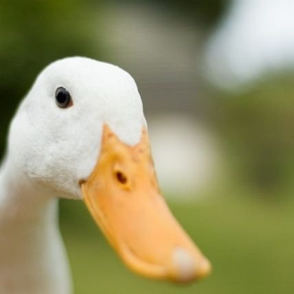 27CBA27's profile picture. 