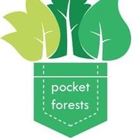 @pocketforests(@pocketforests) 's Twitter Profile Photo