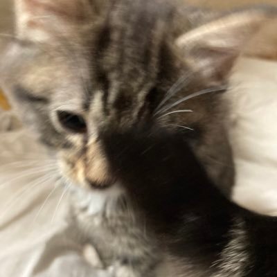 DaisyCatriarchy's profile picture. 