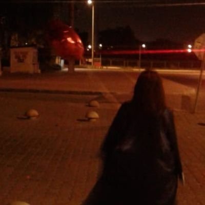 2019kpss2019's profile picture. 2019 kpss