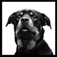 Guy Smallman (@guysmallman) 's Twitter Profile Photo Guy Smallman (@guysmallman) 's Twitter Profile Photo