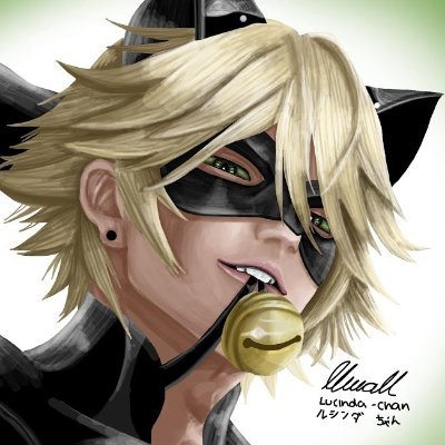 YoungCatNoir Profile Picture