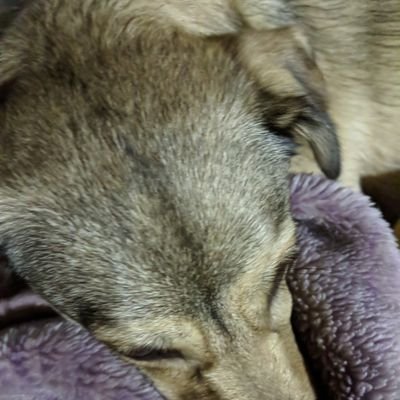 5qnzr1B7GKSW1M6's profile picture. よろしく