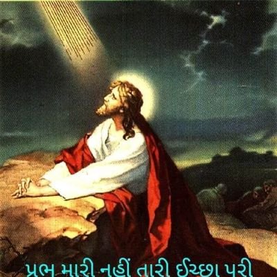 NitaPar39771464's profile picture. 