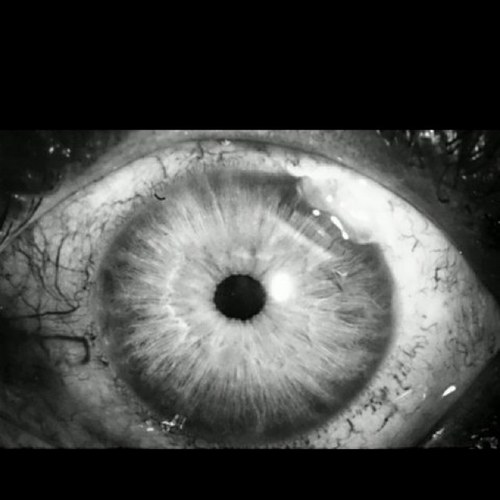 scotchrocks1's profile picture. 