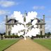 NTKingstonLacy (@ntkingstonlacy) Twitter profile photo