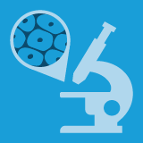 JMP (ISSN 2673-5261) is an #OpenAccess journal on #molecular_pathology, published online quarterly by @MDPIOpenAccess. Indexed in ESCI and DOAJ.