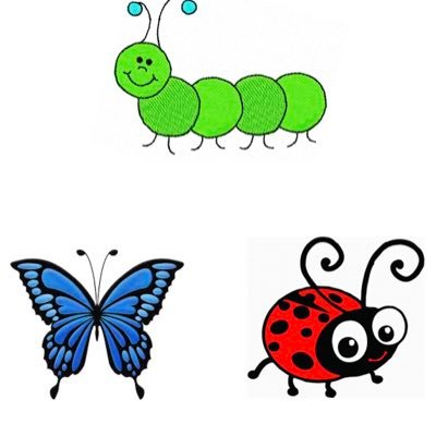 F1 Caterpillars, F2 Butterflies and F2 Ladybirds.