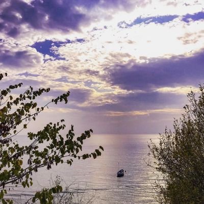 Matonyan (@palmato0315) / Posts / X