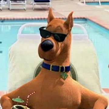 6'14 Tanned, 8 pack | Virgo | Multilingual | Gym Shark | Skeleton Suit ON| Sweet talker | Magician | Basketball coach | Chainsmokers | Poe1/2