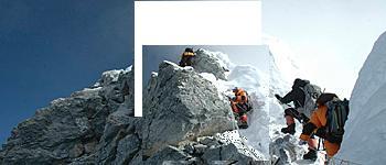 nepalifilmfest's profile picture. 