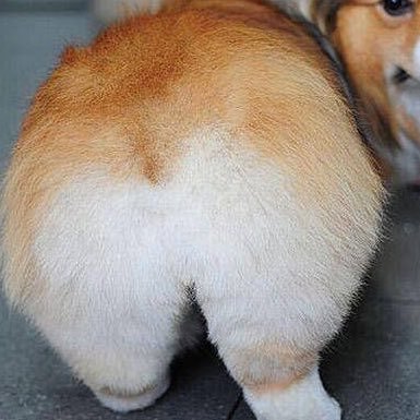 MmJswe2's profile picture. 