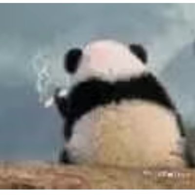 Mishaさんのプロフィール画像