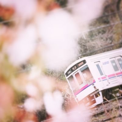 zraq_naoir's profile picture. 🍯🐝