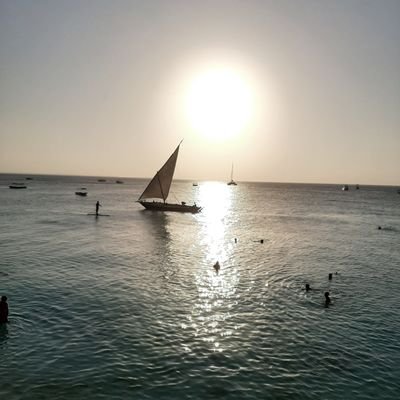 lembym's profile picture. 🤷‍♀️