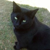 Scoop (@realscoop09) 's Twitter Profile