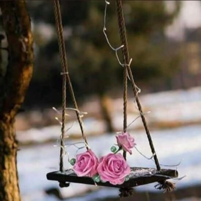 sma828180's profile picture. اللهم سخر لي جنود الأرض وملائكة السماء . وارزقني حظ الدنيا ونعيم الآخرة،🌹