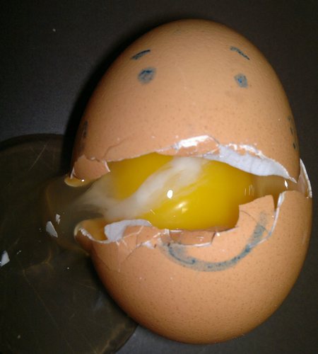 kilroyisnt's profile picture. NOT IN USE: I will not be reading or writing anything on X while it is owned by Elon Musk, a right-wing, pro-Trump financier, and general dickhead.