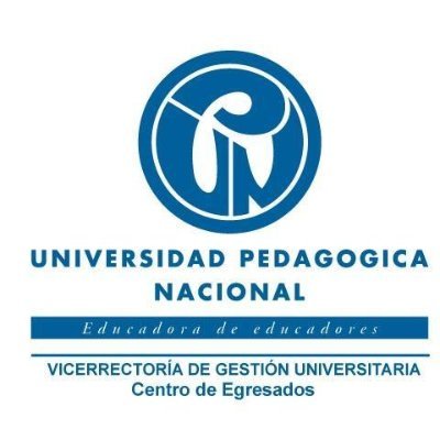 Planea, diseña y propone la ejecución de políticas, estrategias y proyectos tendientes a la vinculación y comunicación permanente entre los egresados  y la UPN.