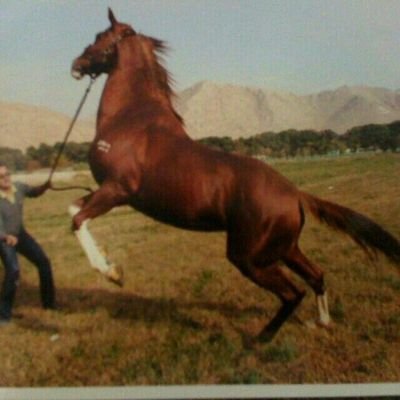 rysphqnjd's profile picture. 