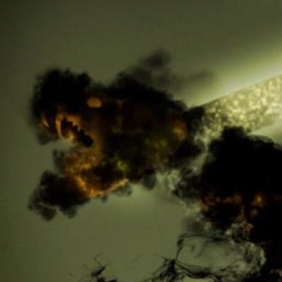 thesealmx's profile picture. graphic designer