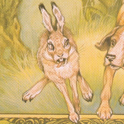 DeeterRabbitさんのプロフィール画像