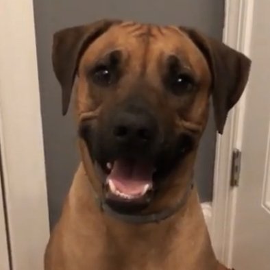 ultradew1984's profile picture. Make yourself better everyday.